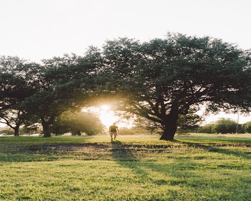 Indian person walking in a peaceful lush green park during morning sunrise